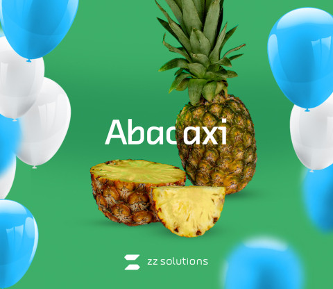 ZZ Solutions